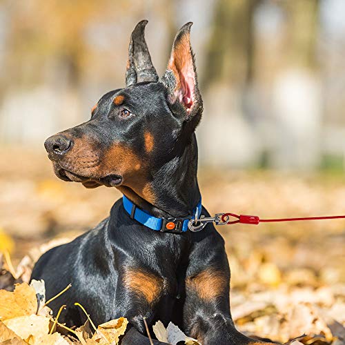BV Dog Tie Out Cable 30 Feet - Heavy Duty Dog Lead Up to 125 Pounds - Reflective & Rust-Free with Quick Release Swivel Clips & 360° Rotating Clasp - Tangle-Free Dogs Runner for Yard (Red, Pair) - color: 125lbs/ 30ft/ Red, style: Pair