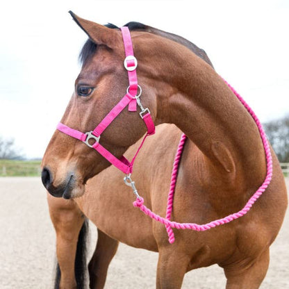 HORZE Basic Cotton 7' Horse Lead Rope (Set of 3) - Raspberry Pink - color: Raspberry Pink