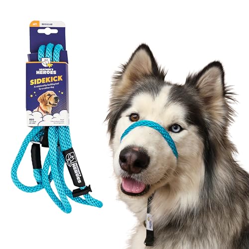 The Sidekick, Reg 3/8" Colors: Turquoise - color: Turquoise, size: Regular (3/8")