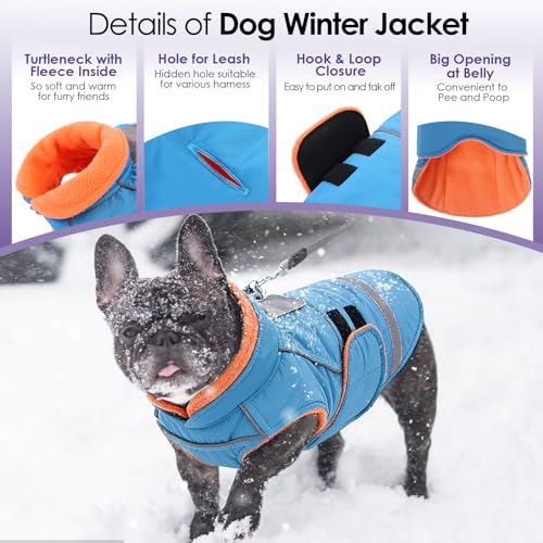 Dog Coat, Warm Dog Jacket for Small Dogs, Reflective Winter Coat - color: Turquoise, size: X-Small