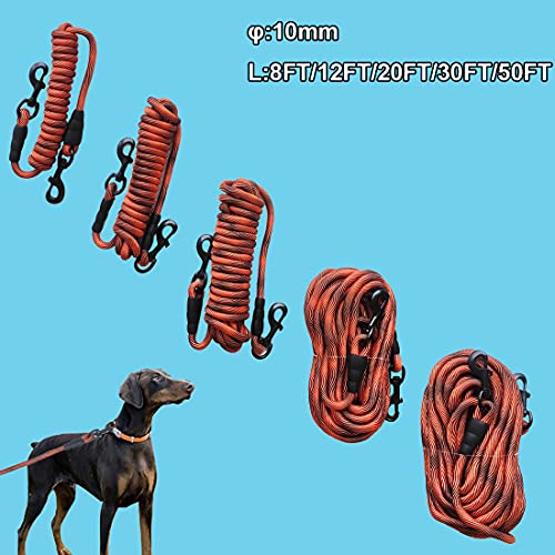 20FT Dog Tie-Out Rope + Bungee Dog Leash Extension