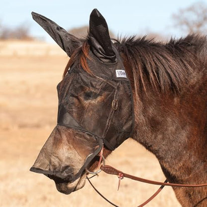 CASHEL Company Qr Mule Warmblood Long Ear, (QRMWBLE) - color: Black, size: Mule Warmblood