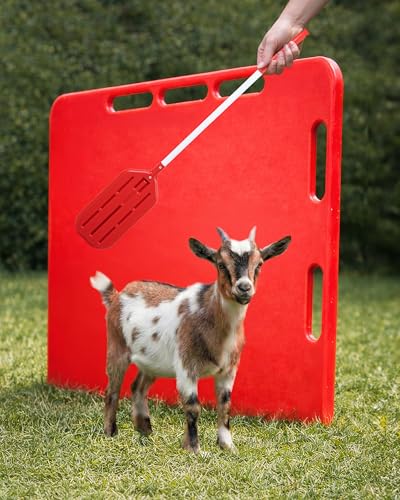 Pig Sorting Board w/Sorting Stick Paddle - Livestock Sorting Panel - Cattle Panel, Hog Panels, Mini Pig, Baby Goat Supplies - Show Pig Supplies Livestock - Farm Equipment - Medium 38" x 30" x 2" - color: red, size: Medium
