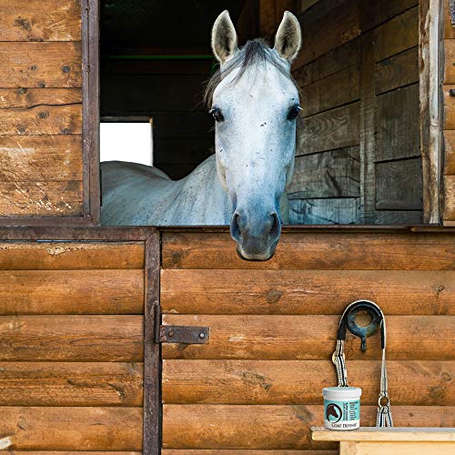 COAT DEFENSE Trouble Spot Drying Paste for Horses - Natural Equine Wound Care That Provides Safe & Effective Relief from Scratches, Sweet Itch, Summer Sores, Proud Flesh, Mud Fever, Girth Rot (10 Oz) - size: 10 Oz