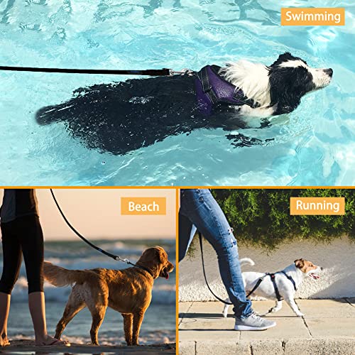 Vivifying Waterproof Dog Leash, 20FT Dog Training Leash Durable PVC Coated Webbing Long Lead with Soft Handle for Camping, Backyard Playing, Beach and Lake(Black) - color: Black, size: 20ft