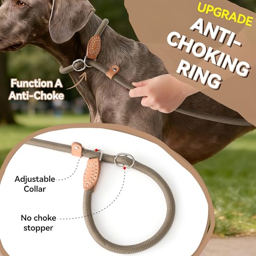 Mile High Life Heavy Duty Slip Lead No Pull Leash 6/5/4FT for Large Dogs - color: Khaki, size: 5 Feet