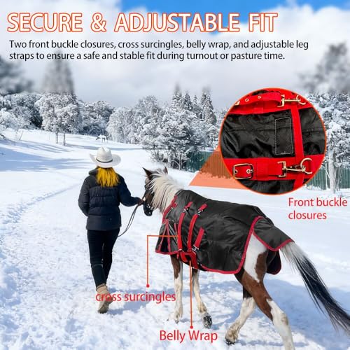 Mini Horse Pony Foal Miniature Horses Turnout Blanket, Winter Blanket for Horses with Belly Wrap, Donkey Blanket, 1200 Denier Waterproof &Breathable/220g Filling (55IN) - size: 55IN