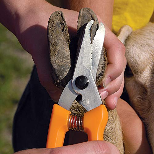 Premier 1 Supplies Shepherd's Lambing Essentials Kit