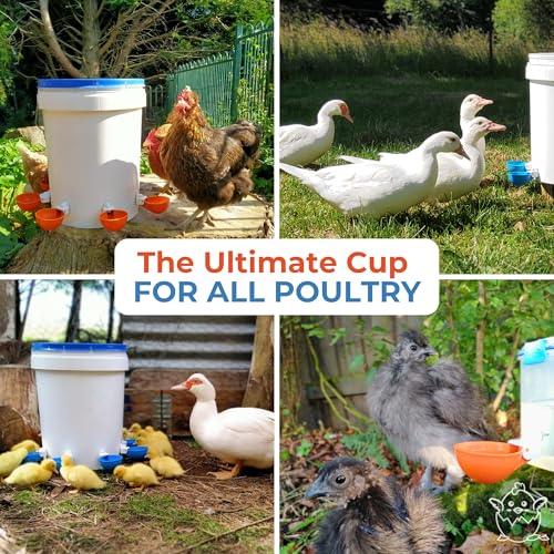 Lil Clucker - Blue Large Automatic Chicken Waterer Cups Suitable for Ducks, Geese, Turkeys, and Bunny Rabbit - Water Feeder Kit - Poultry Waterer - Pack of 5 - size: 5-Pack