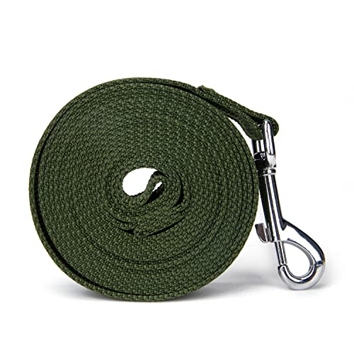 Strong Durable 10ft Nylon Dog Training Leash, 1 Inch Wide Traction Rope, for Small and Medium Dog (Military Green, 10 Feet) - color: Military green, size: 10 Feet