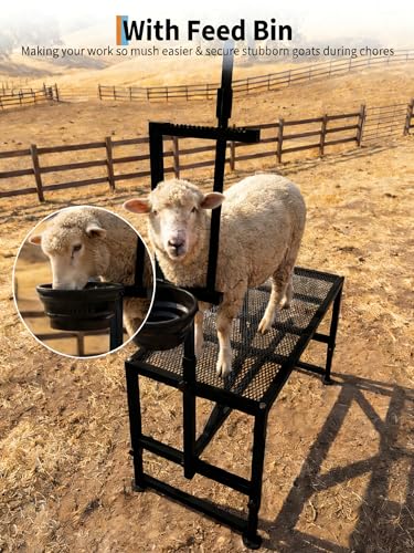 Garvee 600LBS Goat Stand with Feeder 47x23in Goat Milking Stand - color: Black 47inch
