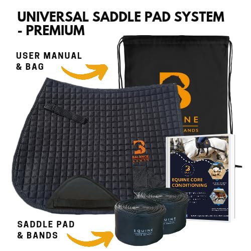 Core Conditioning Saddle Pad & Band System for Horses - style: All Purpose