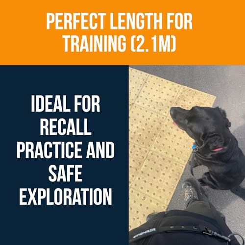 Fenrir - Dog Training Leash - Heavy Duty Dog - Double Ended Carabiner - Long Dog Lead - Non-Slip Lead Waterproof Gear for Large & Small Dogs Puppy - 2.1m (Black) - color: Black