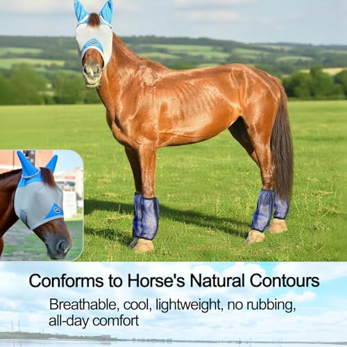 Horse Fly Mask with Ears, UV Block Breathable Mesh (Grey, L) | Large Eye Space, No Rub, High-Vis Color, Stay-in-Place Strap, Durable Mesh, Turnout Pasture & Daily Use - size: L