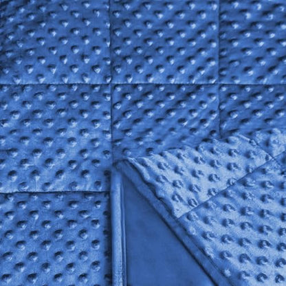 ALANSMA Reversible Weighted Blanket for All Season, Luxury Velvet, Warm and Cool, Adult 10Lb Blue Weighted Blanket, Enjoy Sleeping Anywhere(Blue,48"x72" 10lbs) - color: Blue, size: 48''x72'' 10lbs