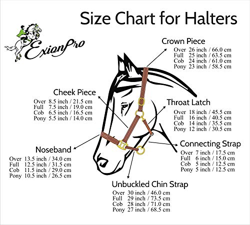 Leather Horse Halter with Fancy Stitching | Black & Brown Padded Halter with Silver Brass Hardware | Quick-Release Snap | Adjustable Leather Halter – Cob, Full, Over, Pony Sizes - color: Black, size: Cob/ Medium Size