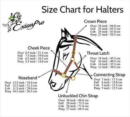 Leather Horse Halter with Fancy Stitching | Black & Brown Padded Halter with Silver Brass Hardware | Quick-Release Snap | Adjustable Leather Halter – Cob, Full, Over, Pony Sizes - color: Black, size: Cob/ Medium Size