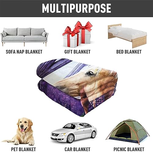 HommomH 50"x60" Palomino Horse Blanket with Purple Lavender, Super Soft Fleece Throw Blankets for Girls Women - size: 50" x 60"