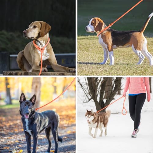Lynxking Dog Leash Slip Lead Reflective Breathable Rope Comfortable Strong No Pull Slip On Pet Training Lead for Dogs (Pack of 2)
