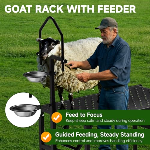Goat Milking Stand with a Ramp, Metal Goat Stand with Feed Bin, 600LBS Livestock Trimming Stand with Height Adjustable, Sturdy Sheep Stand for Goats and Lambs, Black.