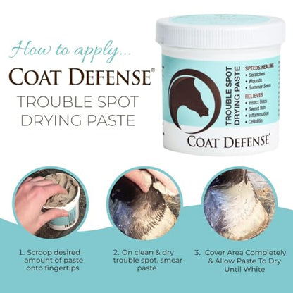 COAT DEFENSE Trouble Spot Drying Paste for Horses - Natural Equine Wound Care That Provides Safe & Effective Relief from Scratches, Sweet Itch, Summer Sores, Proud Flesh, Mud Fever, Girth Rot (10 Oz) - size: 10 Oz