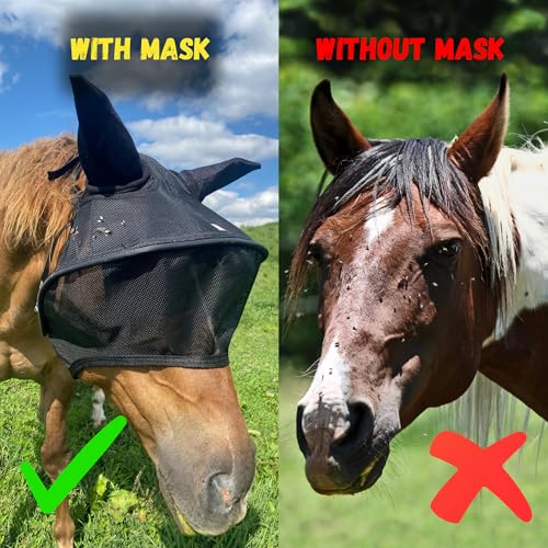 Solar Vizor Horse Fly Mask with Ears (Size COB), 100% UV Eye Protection for Horses with Uveitis, Photosensitivity, Ulcer, Head Shaking, Solid Durable EVA Lining Across The top Half of The Solar Vizor - size: COB