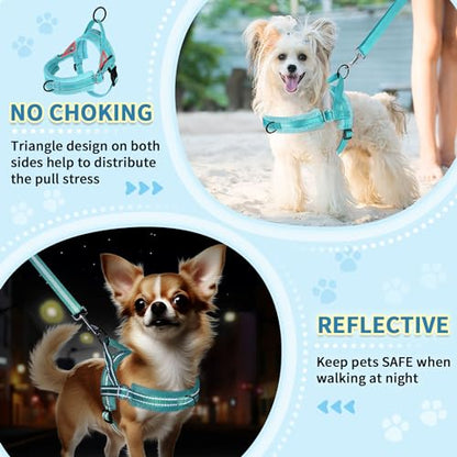 SlowTon No Pull Small Dog Harness and Leash Set with Front Clip | Soft Padded, Neck & Chest Adjustable, Lightweight, Anti-Twist, Puppy Vest Harness Pet Lead Combo for Small Medium Dog, TL S - color: Teal, size: Small