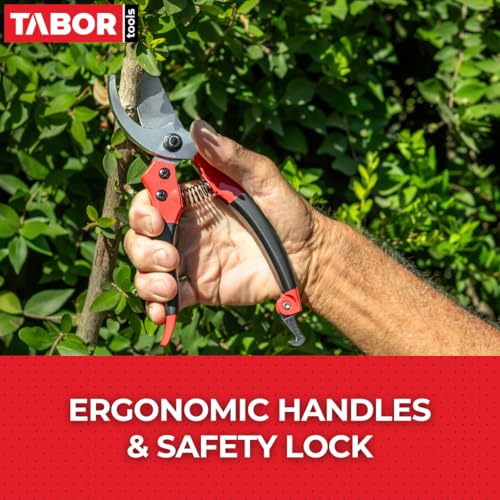 TABOR TOOLS S821A Bypass Pruning Shears for Small to Medium Hands, Chrome Plated Blades with 3/4 Inch Cut Capacity, Professional Hand Pruner, Garden Secateurs & Clippers with Safety Lock - style: Bypass