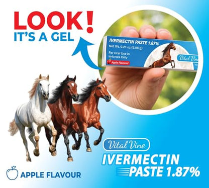 VITALVINE Ivermectin 1.87% Paste for Horses – Apple Flavor 6.08g Syringe, Treats Horses Up to 1250 lbs (3-Pack)