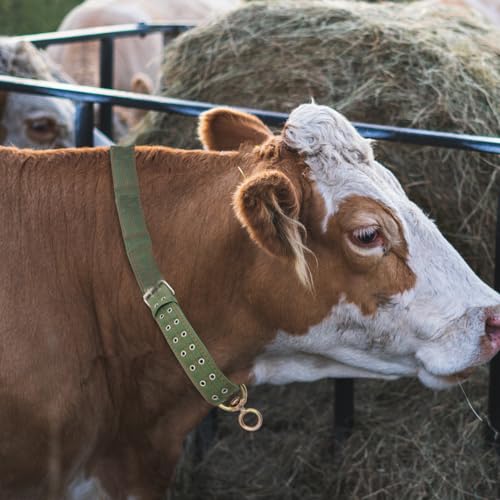 POPETPOP Adjustable Cow Collar, 51 Inch Thickened Nylon Cattle Neck Collar