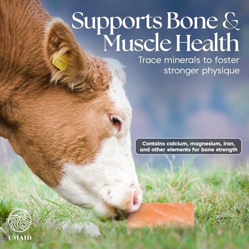 UMAID Himalayan Salt Block 4-Pack, 8x4x2 Inches – Natural Pink Mineral Block for Horses, Cows, Goats & Sheep – Long-Lasting Livestock Salt Supplement - size: 5 Pound (Pack of 4)