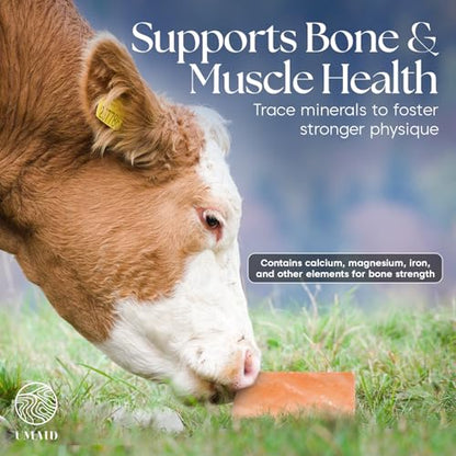 UMAID Himalayan Salt Block 4-Pack, 8x4x2 Inches – Natural Pink Mineral Block for Horses, Cows, Goats & Sheep – Long-Lasting Livestock Salt Supplement - size: 5 Pound (Pack of 4)