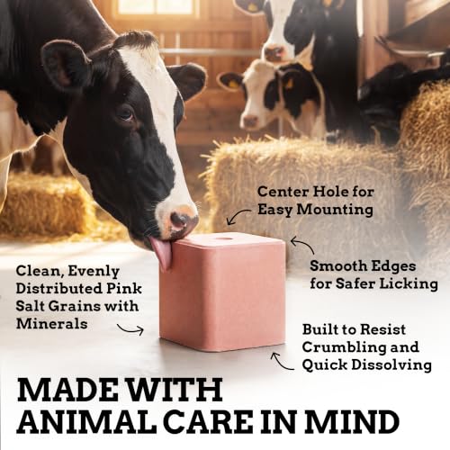 Himalayan Secrets Compressed Salt Lick for Livestock & Wildlife, 22 lb - size: 22 Pound (Pack of 1)