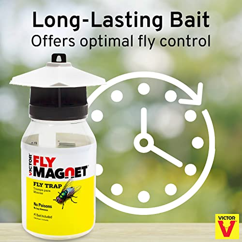 Terro T380 Outdoor Reusable Fly Magnet Fly Trap - Poison Free Trap with Bait (Pack of 2)