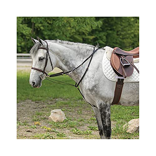 Billy Royal German Martingale | Effortless Headset Training | Durable Mountain Climbing Rope | Includes 7' x 3/4" Wide Split Reins | Brass and Stainless Hardware | Dark Oil Leather Finish
