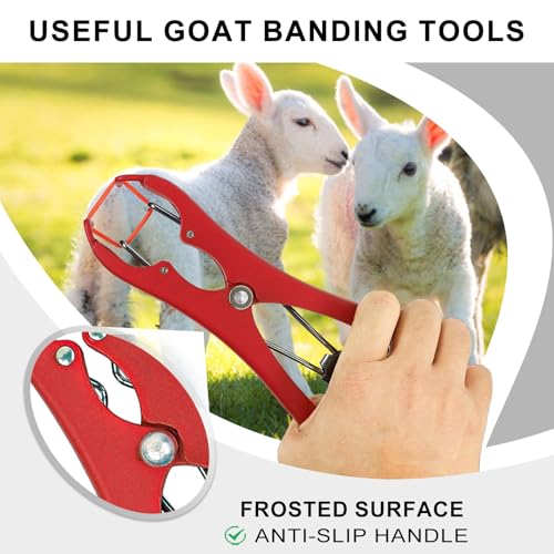 Goat Banding Tools, Including 1pc Stainless Steel Bander and 100pcs Banding Rings, Expander Plier and Bands Kit for Goat Calf Hog