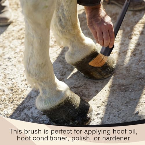 2 Set Hoof Oil Brush for Horses with Cap Black for Horse Soft Gentle Hoof Care Applicator to Restore Dry and Fragile Hooves Moisturizer Horse Face Cleaning Brush