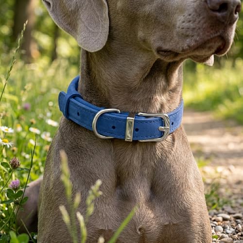 OOPSDOGGY Rolled Leather Dog Collar Reflective – Genuine Leather Round Dog Collar for Small Medium Large Dogs (Blue, 17" – 21") - color: Blue, size: 17" – 21"