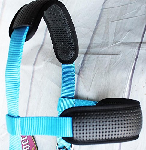 CHALLENGER Nylon Lunge Padded Cavesson Halter Horse Tack Turquoise 606F03P