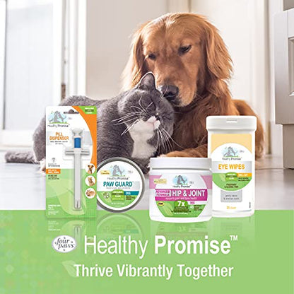 Four Paws Healthy Promise Easy Feeder Pet Feeding Syringe, 2 Count