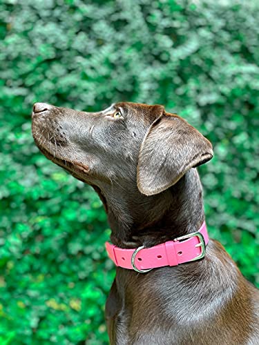 Tuff Pupper Heavy Duty Waterproof Dog Collar for Small, Medium & Large Dogs - color: Punch Pink