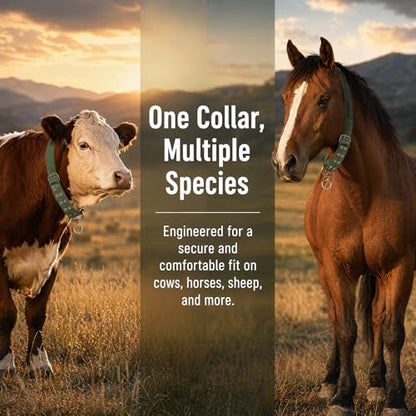 DOITOOL Cow Collar Canvas Calf Cattle Neck Collar, Adjustable Nylon Thickened Livestock Traction Neck Strap with 2 Rows Metal Buckle for Farm Goat Horse Goat Sheep Camel, Green