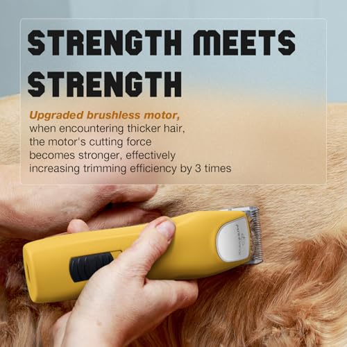 Professional Dog Grooming Clippers 2-Speed Detachable 10# Blade - color: Citrus Yellow