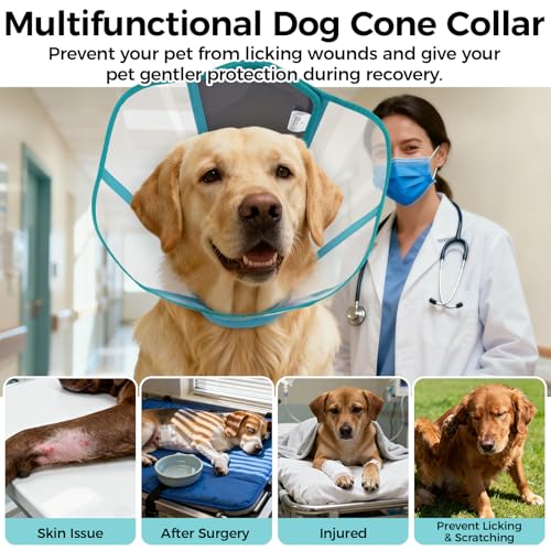 Dog Recovery Collar Pet Elizabethan Cone Collar - color: Blue-Green, size: Large
