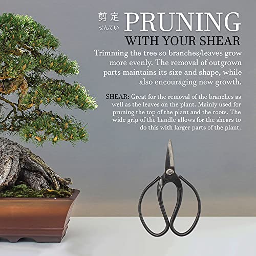BambooMN Bonsai 7" Heavy Duty Butterfly Shear - 3 Pieces - color: 7" Heavy Duty Butterfly Shear, size: 3