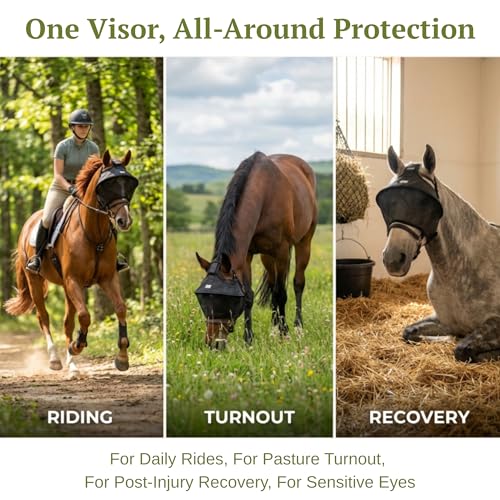 Horse Fly Mask Visor with UV Shield, Adjustable Fit for Riding