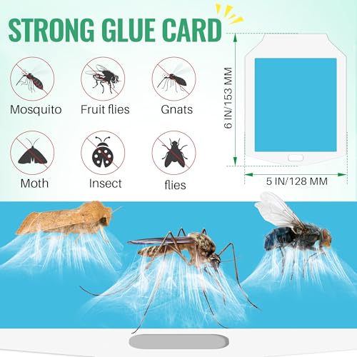 Qualirey 20 Pack Flying Insect Trap Refill, Compatible with osvdo Indoor Plug in Fly Trap for Home, Replacement Glue Cards, Bug Zapper Sticky Pads, Glue Boards Insect Catcher for Fly Mosquito Bug