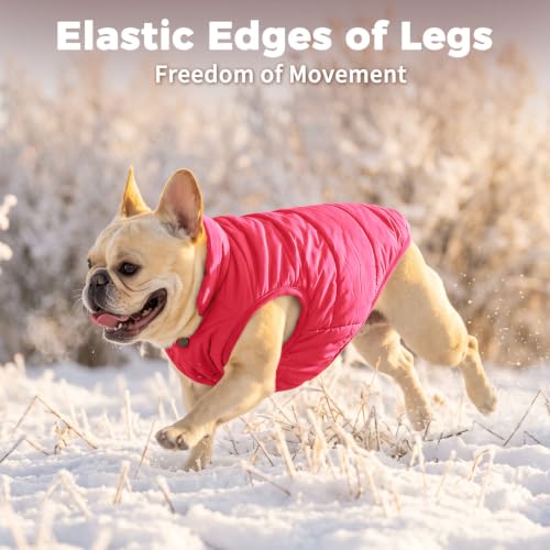 JoyDaog Fleece Lined Dog Jacket for Small Dogs,Winter Dog Coat,Pink M - color: Pink, size: Medium