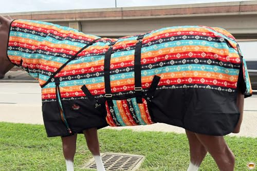 HILASON 1200D Winter Waterproof Poly Horse Hood Turnout Neck Blanket Belly Wrap Tribal | Blankets for Horses