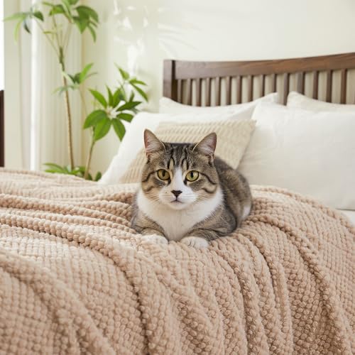 EMME Fleece Blanket, 3D Jacquard Throw Blanket for Couch and Bed, Soft Cozy and Fluffy Blankets Lightweight Luxury Flannel with Waffle Design (Beige, 80" x 90") - color: 02-waffle-beige, size: Queen